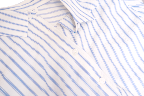 Blue Striped Blouse
