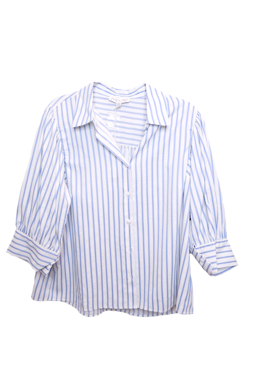 Blue Striped Blouse